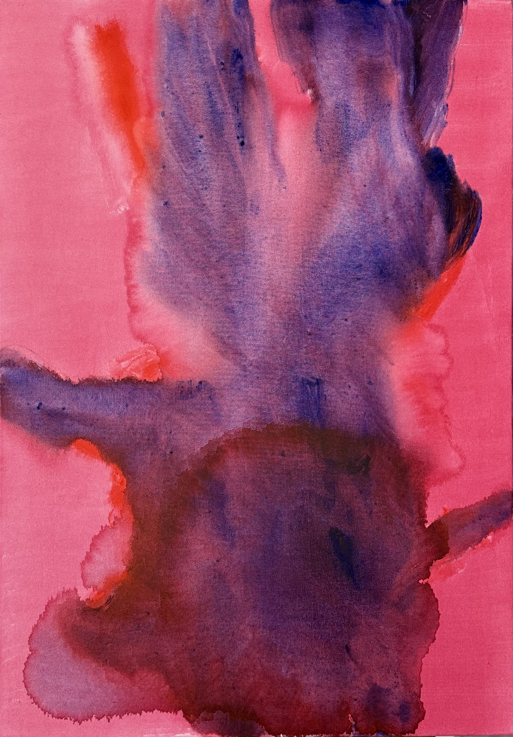 Serie Génesis Óleo sobre lienzo 100 x 77 c